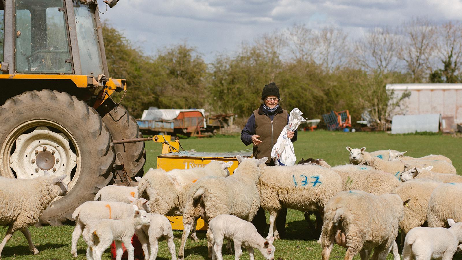 British Farmers to retire with dignity